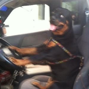 Meet your Posher, Matthew